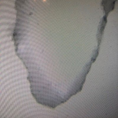 Bio Oxidative Solutions LLC