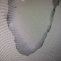 Bio Oxidative Solutions LLC