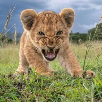 Reparations Technical Institution