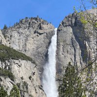 West Coast Outdoorsman