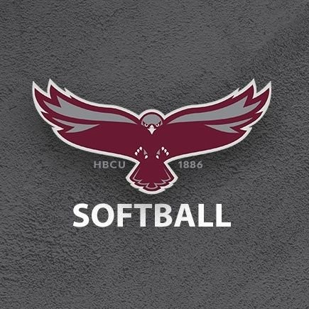 Hawk Softball 🥎