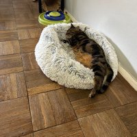 Anne Norkin @annen13🇺🇸🇺🇦