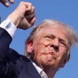 tweetlady 🐊🌞🌊🇺🇸