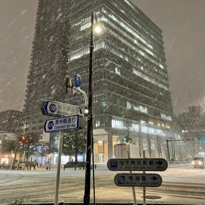 日本橋・深川エリア周辺パトロール