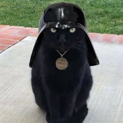 MAGA Curmudgeon ✝️🇺🇸