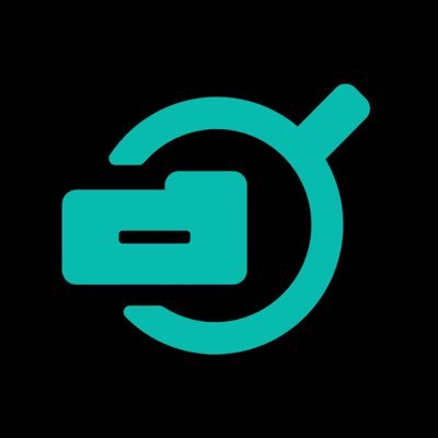 Citizen Monitors 🗳️