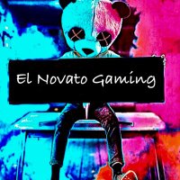 El novato gaming