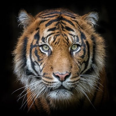 Khalid Samuel (Ba'Lulu wa Summayyah)