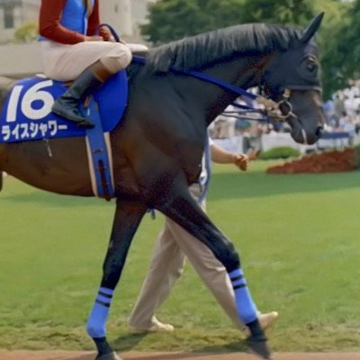 司馬懿 朱鷺 フォロー歓迎❣️ ネットの色々勉強中、相互フォロー基本します。大量の遺品整理（苦戦中）