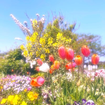 ありがとう🧡🌈