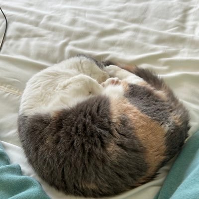 久保山 尚 🏴󠁧󠁢󠁳󠁣󠁴󠁿の特級出羽守