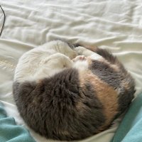 久保山 尚 🏴󠁧󠁢󠁳󠁣󠁴󠁿のバズらせ特級出羽守