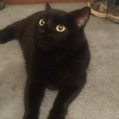 PETE-ZA 🍕👕🧍