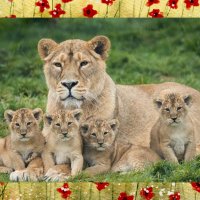 I said what I said ✞