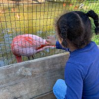 🪷Sauvignon Black 🪷