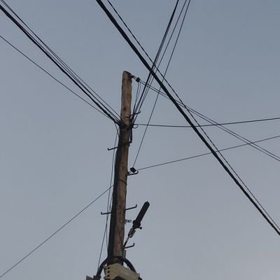 Djamolidine Abdoujaparov