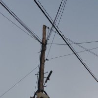 Djamolidine Abdoujaparov