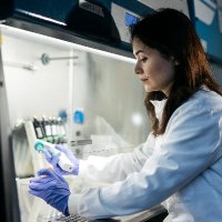 UoB School of Infection, Inflammation & Immunology