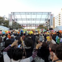 Japan-only Sub Network