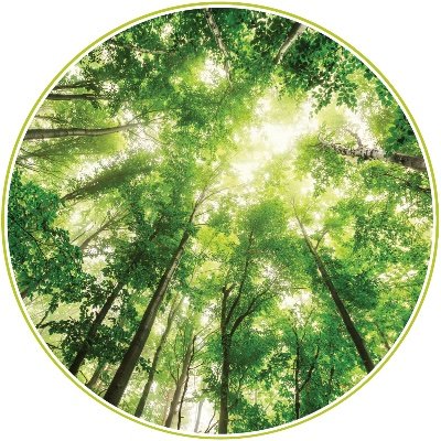 Environmental Education Research