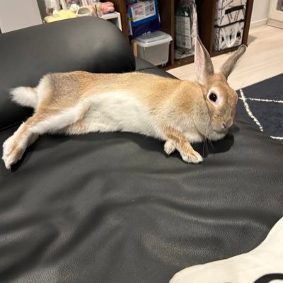 わかぼー@趣味垢