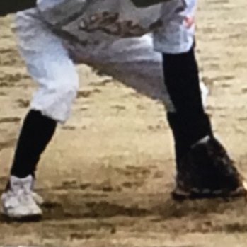 ショートは、#14サミー🐰ちゃんの飼い主が守る！