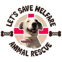 Let's Save Welfare
