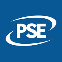 Public Sector Executive PSE