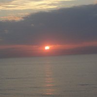 Patsy ann Clark .....THE IDIOTS HAVE TAKEN CONTROL