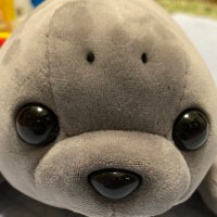 まる。🐾れいわ❤️‍🔥