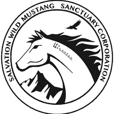 Salvation Wild Mustang Sanctuary
