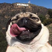 vℹ️©️tory gℹ️n