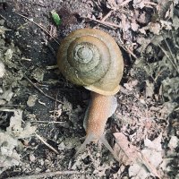 Dems r smoke & mirrors