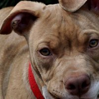 とっても気になるニュース