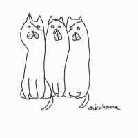 Yoco (^◔ᴥ◔^).｡.:*♡