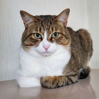 💎💎💎元 つっち～♪💎💎💎