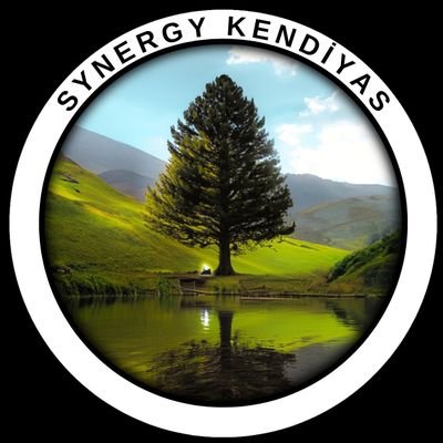 Synergy Kendiyas