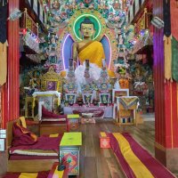 Agent Smith 🇮🇳