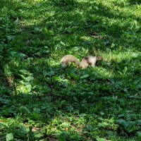 Martine Lorraine 🕊 🐢 🇵🇸