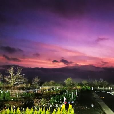 Tornadotitan 🌪️