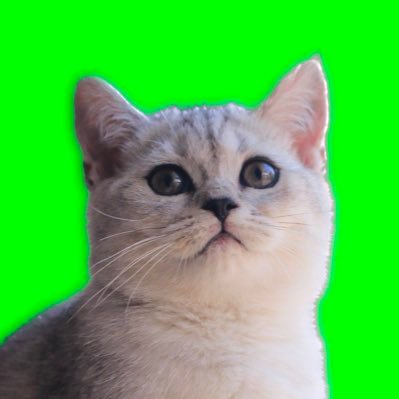 MING🌷🧚🏻‍♂️