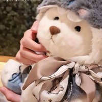 Teddy 🐻 | 🌪️💀 | REST