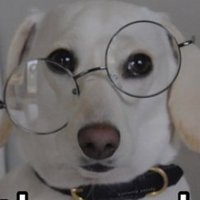 A Sense Of Evil Squirrel NotSure™ 🐿️