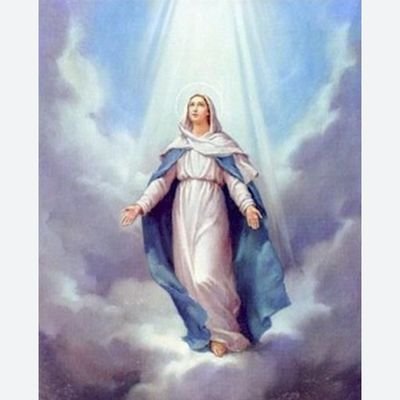 Laurence Bastianello