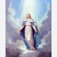 Laurence Bastianello