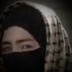 🌿 🇵🇸We will never forget