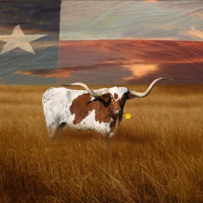 🇺🇸 Michelle 🇺🇸