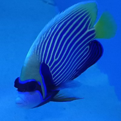 わが家のインテリア