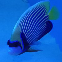 わが家のインテリア