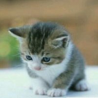 FOREVER 🇪🇨🌹♥️